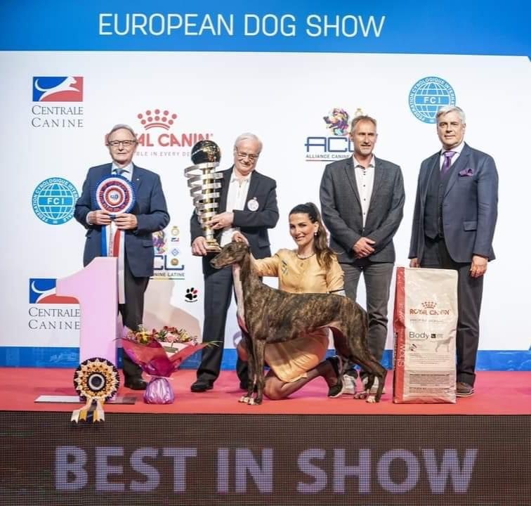 2022 EUROPEAN DOG SHOW PARIS Société Centrale Canine